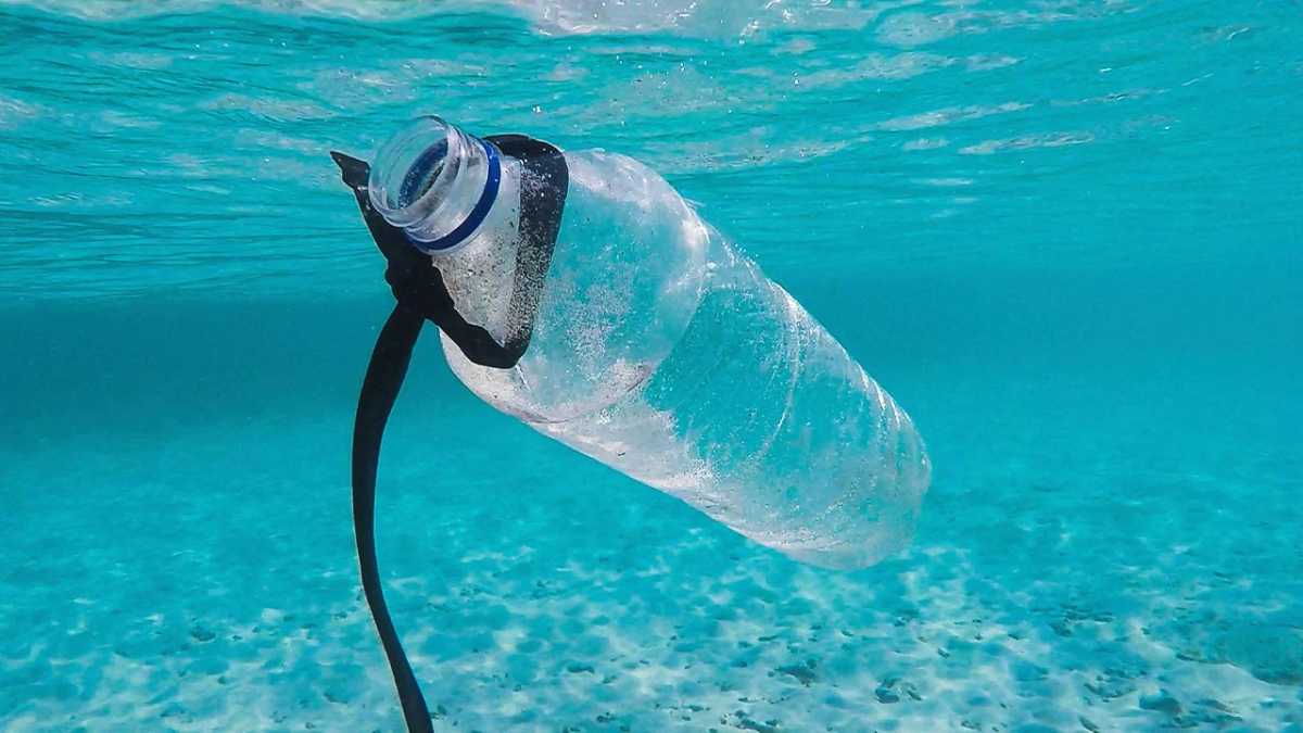 Dyrektywa Single-Use Plastics – w skrócie SUP - ustanawia między innymi poziomy w zakresie selektywnej zbiórki w celu recyklingu butelek z tworzyw sztucznych po napojach, wynoszące: 77 proc. do 2025 r. i 90 proc. do 2029 roku
