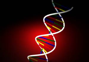 Poznać wiek po DNA