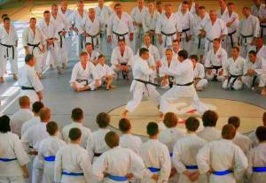 World Karate Confederation