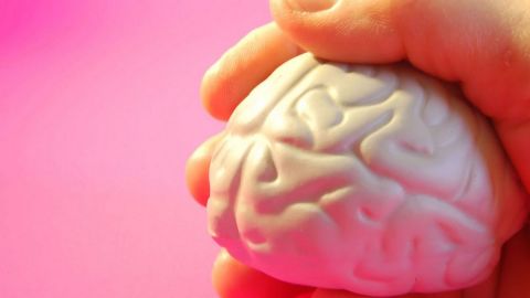 Połączenie mózgu z komputerem pozwoli rozwinąć nowe zmysły