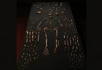 Musimy poznać dokładny wiek Homo naledi