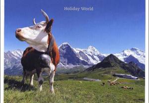 Szwajcaria: Atrakcje lata 2016