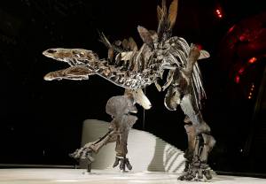 Najbardziej kompletny stegozaur na świecie