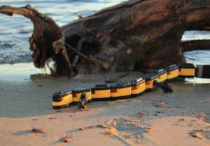 Sztuczna salamandra