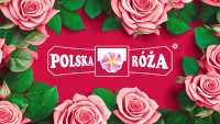 Czym strzela „Polska Róża”