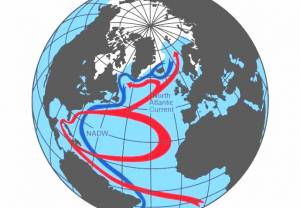 Cyrkulacja atlantycka AMOC. Ciepły prąd powierzchniowy Golfsztrom (czerwony) i zimny prąd głębinowy (niebieski).