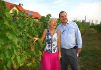 Słowacja: Tajemnice tokajskich win 