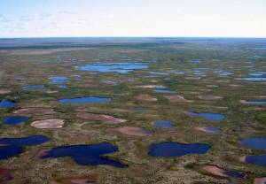 wysychające jezioro w Parku Narodowym Wapusk w prowincji Manitoba (Kanada) 