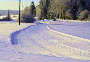 &quot;Śnieżne Trasy Przez Lasy&quot;. Beskidzkie szlaki narciarskie