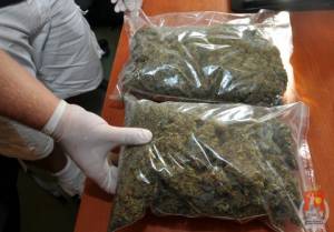 Kilogram marihuany w rękach policji