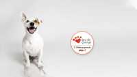 Zagłosuj w plebiscycie „Serce dla zwierząt”