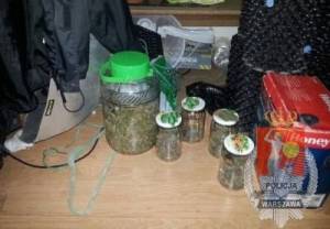 Kokaina i marihuana w mieszkaniu podejrzewanego