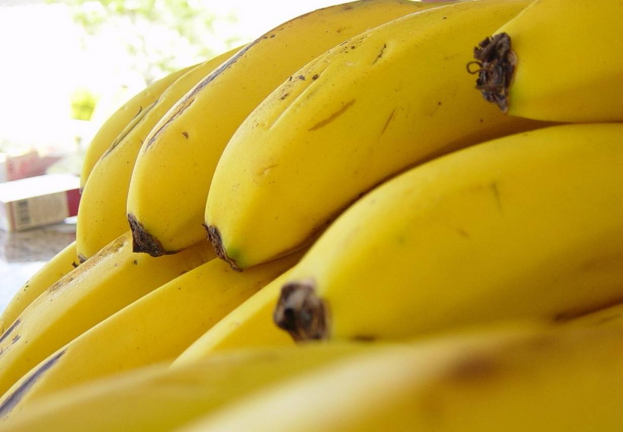 Na polski rynek rocznie trafiają banany o wartości 1 mld zł