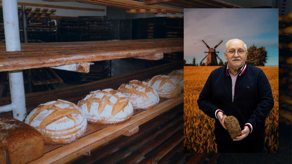 W poszukiwaniu prawdziwego chleba