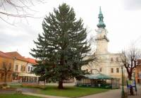 Słowacja: Kieżmark – burzliwe dzieje królewskiego miasta (1)