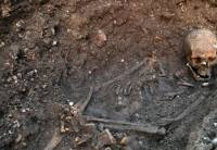 Znaleziono szkielet króla Ryszarda III