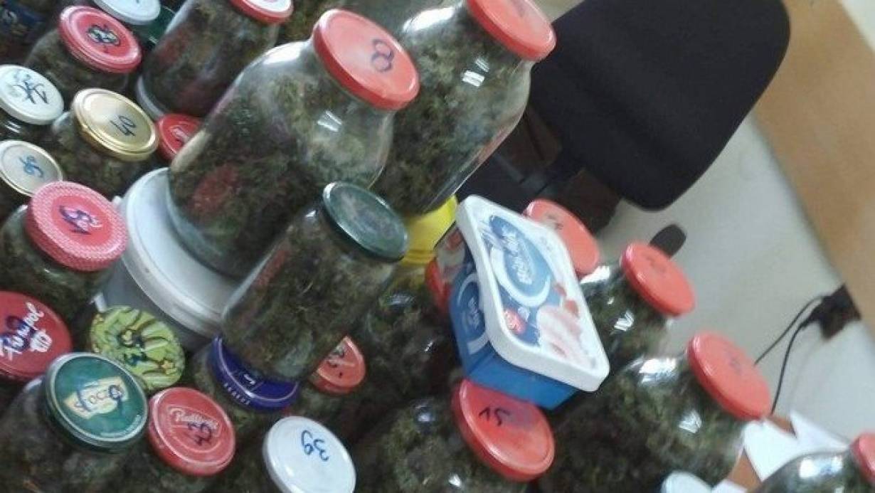 Policjanci zabezpieczyli ponad 12 kg marihuany