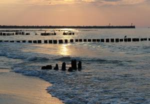 WWF chce wyłowić z Bałtyku 350 ton sieci rybackich