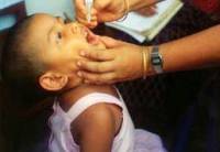 Dziki wirus polio