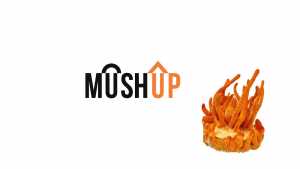 Nową marką w polskim świecie grzybów leczniczych jest MushUp. Handlową nazwę stworzyła firma Hydrostor, należąca do Stowarzyszenia „Polska Ekologia”