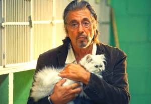 Al Pacino w filmie Mangelhorn - fascynującej opowieści o życiu 