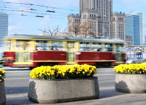 Warszawa w kwiatach zieleni 2011