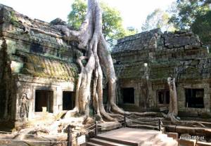 Kambodża i jej sławne świątynie