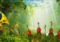 Szalone Dni Muzyki 2016: Natura
