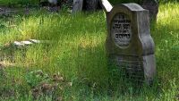 Galeria Kupiecka na cmentarzysku? W czasie II wojny światowej mordowano tam Żydów