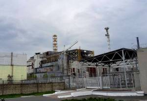 Las wokół Czarnobyla to wielkie laboratorium