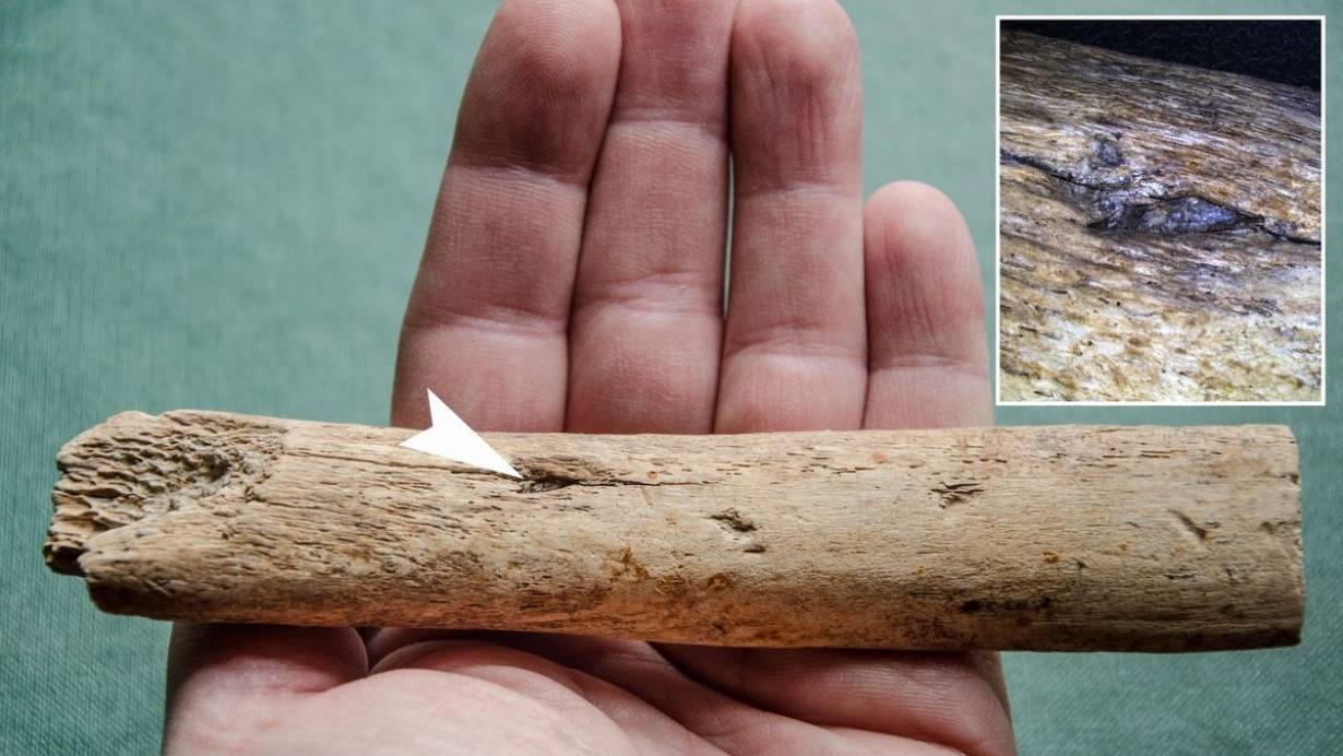 Odkryto pierwszy w Europie dowód, że człowiek polował na mamuty