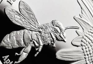 Pszczoła miodna na srebrnej dwudziestozłotówce